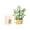 Lily of the Valley, variant on Mini Flowers Building Block Set, Mini Building Blocks, Flower Building Set, Building Block Flowerpot, Mini Bricks Building Sets, Party Favors for Adult and Teen(Rainbow Daisy 360pcs)