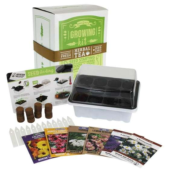 Indoor Medicinal & Herbal Tea Herb Garden Starter - Basic Kit - 6 Non-GMO Varieties - Seeds: Chamomile, Lavender, Lemon Mint, Calendula, Echinacea, Yarrow