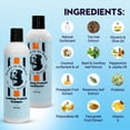 thumbnail image 2 of Frankie on the Beach The Dynamic Duo Shampoo Plus Conditioner Bundle 2x12oz bottles  Made in the USA, 2 of 5