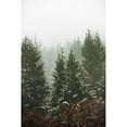 thumbnail image 3 of Nature Magick 13x18 Black Modern Framed Museum Art Print Titled - Forest Fog Winter Snow II, 3 of 5