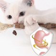 thumbnail image 3 of 5-10 piezas de juguetes para gatos Silvervine Chew Stick, juguetes saludables con hierba gatera para la limpieza dental., 3 of 5