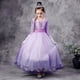 thumbnail image 2 of Disfraz de Frozen de Disney, vestido de princesa Elsa para niñas, malla de lentejuelas moradas, cumpleaños, fiesta de Halloween, Cosplay para niños, reina de la nieve, ropa 4T (etiqueta 120) Gao Jinjia LED, 2 of 2