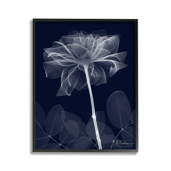 Stupell Industries Dark Flower Shape Botanical & Floral Photography Black Framed Art Print Wall Art, 11 x 14