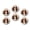 C1708, variant on Glass Refrigerator Magnet 6Pcs Magnetic Fridge Sticker,Decor for Kitchen,Whiteboard,Cabinet,Extremely Beautiful King Charles Spaniel