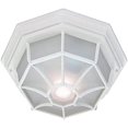 thumbnail image 2 of Acclaim Lighting 2002TW Flush Mount - 2-Light Ceiling Mount in White Textured for Outdoor Light Fixture, 2 of 2