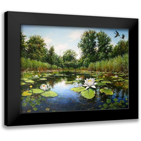 Cernov, Ivan 18x15 Black Modern Framed Museum Art Print Titled - Watterlilly near Dnepropetrovsk