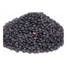 Bulk Peas And Beans Organic 100% Organic Lentils Black LB CS (Pack of 25) by Bulk Peas And Beans Organic