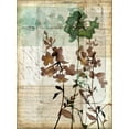 thumbnail image 2 of Goldberger, Jennifer 19x24 White Modern Wood Framed Museum Art Print Titled - Music Box Floral II, 2 of 4