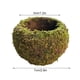 thumbnail image 3 of Sailing Planta en maceta con bolas de musgo de estilo japonés, maceta de musgo elegante y natural, 3 of 10