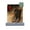 Off White Pebble, variant on Off White Picture Frame Mat for 13x19 Frames - Fits 12x16 Photos - 1 Mat