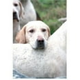 thumbnail image 1 of Kevin Milner Time to Go Countryside Greetings Card, 1 of 1