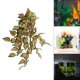 thumbnail image 5 of Plantas acuáticas artificiales Yuyangstore Decoración del hogar 16 pulgadas 40 cm, 5 of 7