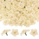 thumbnail image 1 of Uxcell Paquete de 50 Cabezas de Rosas Artificiales, Cabeza de Rosa de Seda Falsa para Boda/Ramo/Pared de Flores/Artesanías DIY/Decoración de Fiesta, Cabezas de Flores Falsas [Beige], 1 of 1