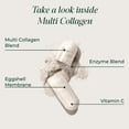 thumbnail image 5 of Primal Harvest Multi Collagen, 2 Pack: Collagen Types I, II, III, V & X with Vitamin C for Hair, Skin & Nail Health (240ct), 5 of 9
