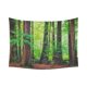 thumbnail image 1 of Tapiz de bosque ABPHQTO Woodland Scenes 150x200 cm, 1 of 1