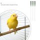 thumbnail image 2 of Manguera de 3 uds para alimentación de pájaros jóvenes, herramienta de alimentación, suministro de medicina para pájaros, 2 of 6