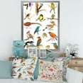 thumbnail image 3 of Designart 'Vital Colored Birds Plancard' Traditional Framed Art Print, 3 of 4