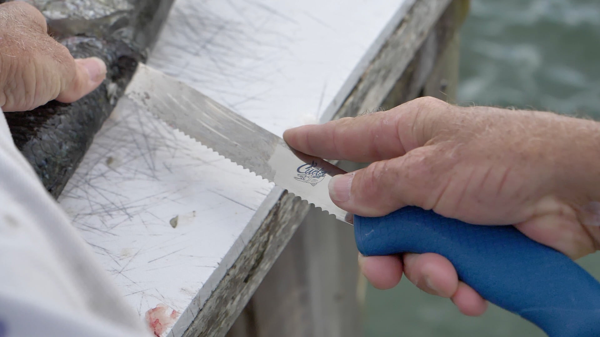 Cuda AquaTuff Carbide Edge 9" Serrated Utility Knife with Blade Cover for Fish