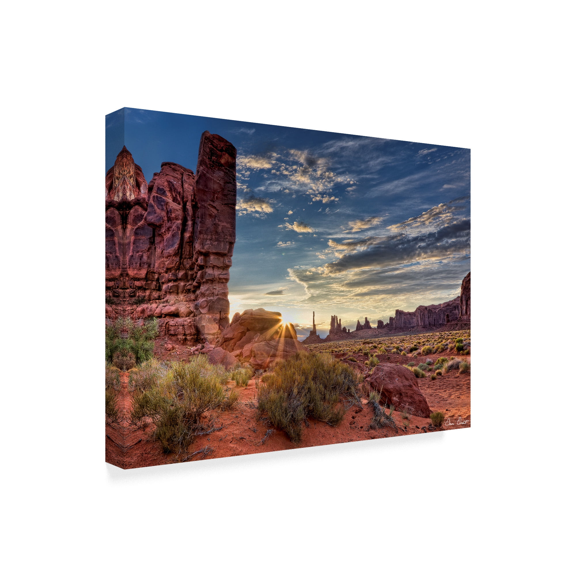 Trademark Fine Art 'Valley Beauty IV' Canvas Art by David Drost