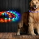 thumbnail image 3 of Collar emisor de luz recargable por USB, collar para mascotas emisor de luz que cambia de color,, 3 of 5