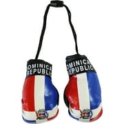 Dominican Republic Mini Boxing Gloves