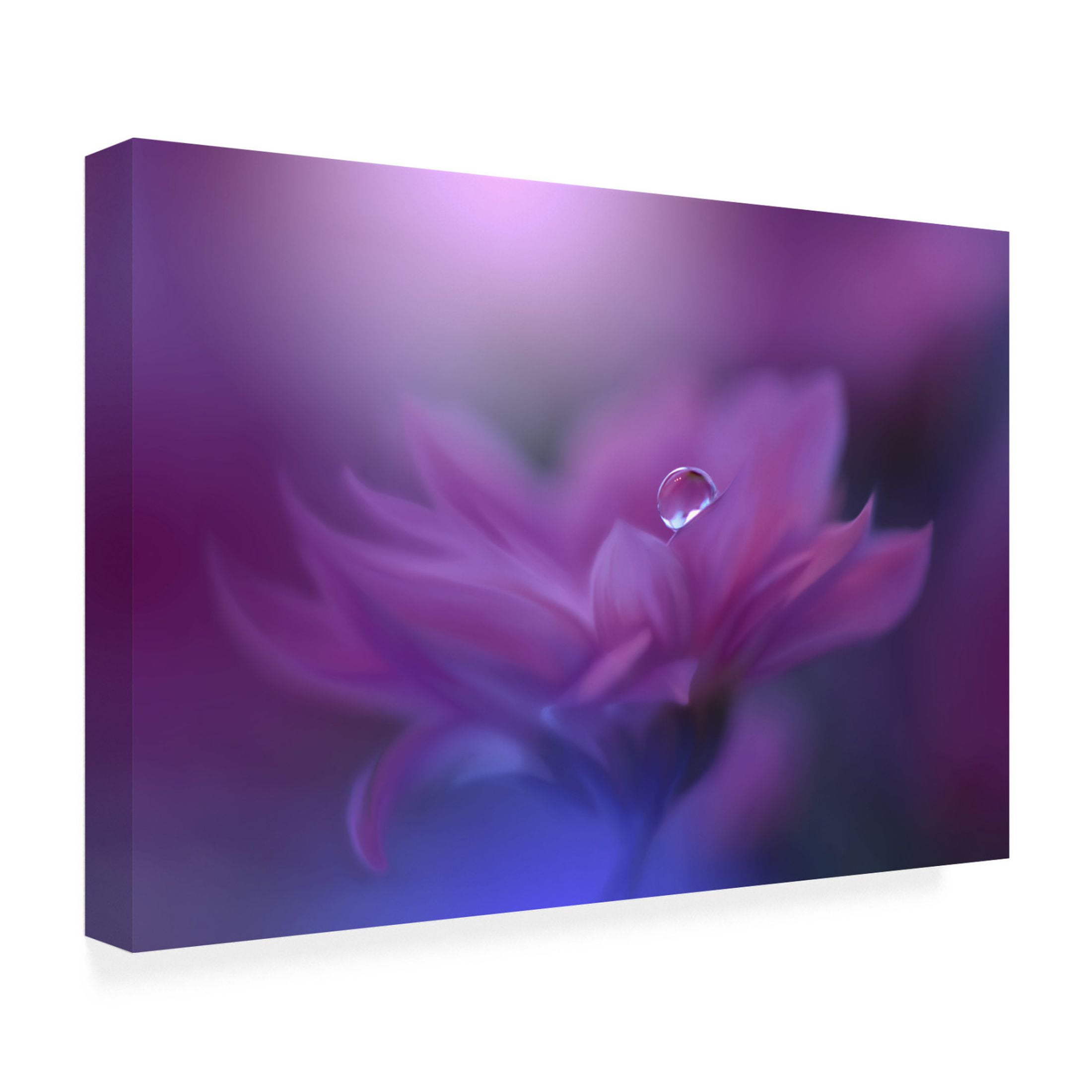 Trademark Fine Art Juliana Nan Without Form, Without Limit.. Canvas Wall Art