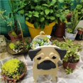 thumbnail image 4 of sweethay Maceta para flores, bonitas macetas suculentas, decoración ligera para jardín, resistente al desgaste, resistente al agua, contenedor Jardín y Patio, 4 of 6