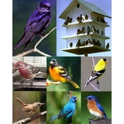 Songbird Magnet Electronic Bird Caller Bird Watching Attracts Songbirds Purple Martins Digital Bird Calls Weatherproof