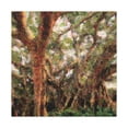 thumbnail image 1 of Banyan Tree Brilliance - Canvas, 1 of 10