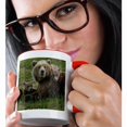thumbnail image 2 of 3drose, Brown Bear Sow and Cubs, Katmai National Park, Alaska, Usa, 11oz Two-tone Red Mug, 2 of 6