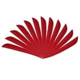 thumbnail image 2 of 12 Pieces Universal Hunting Fletching Fletches 4 Inch - Red, 2 of 8