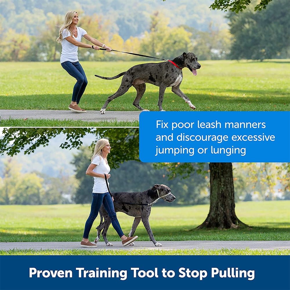 pet Collar Halter Collar for Dogs Collar to Stop Pulling for Dogs Walmart