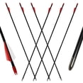 thumbnail image 6 of Runzkzy 29inch Fiberglass 6/12 PCS Archery and Hunting Arrows Combined with Recurve Bows and Arrows, 6 of 13