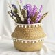 thumbnail image 3 of Cesta de mimbre de algas marinas para plantas de interior, cesta grande de 26 cm, cesta tejida bohemia redonda con asas para macetas, almacenamiento, lavandería, picnic, comestibles, interior., 3 of 7