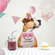 thumbnail image 2 of Babero de Cumpleaños Wosthever para Perros y Gatos Rosa 6 Pulgadas Resistente y Duradero, 2 of 6