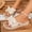 Beige, variant on Women's Ribbed Fabric Bow Thong Slide Sandals, Braided Trim Thick Midsole Slip-On Footwear, Four Neutral Tone Non-Slip Summer Beach & Daily Casual Flip Slippers(Beige,5.5)