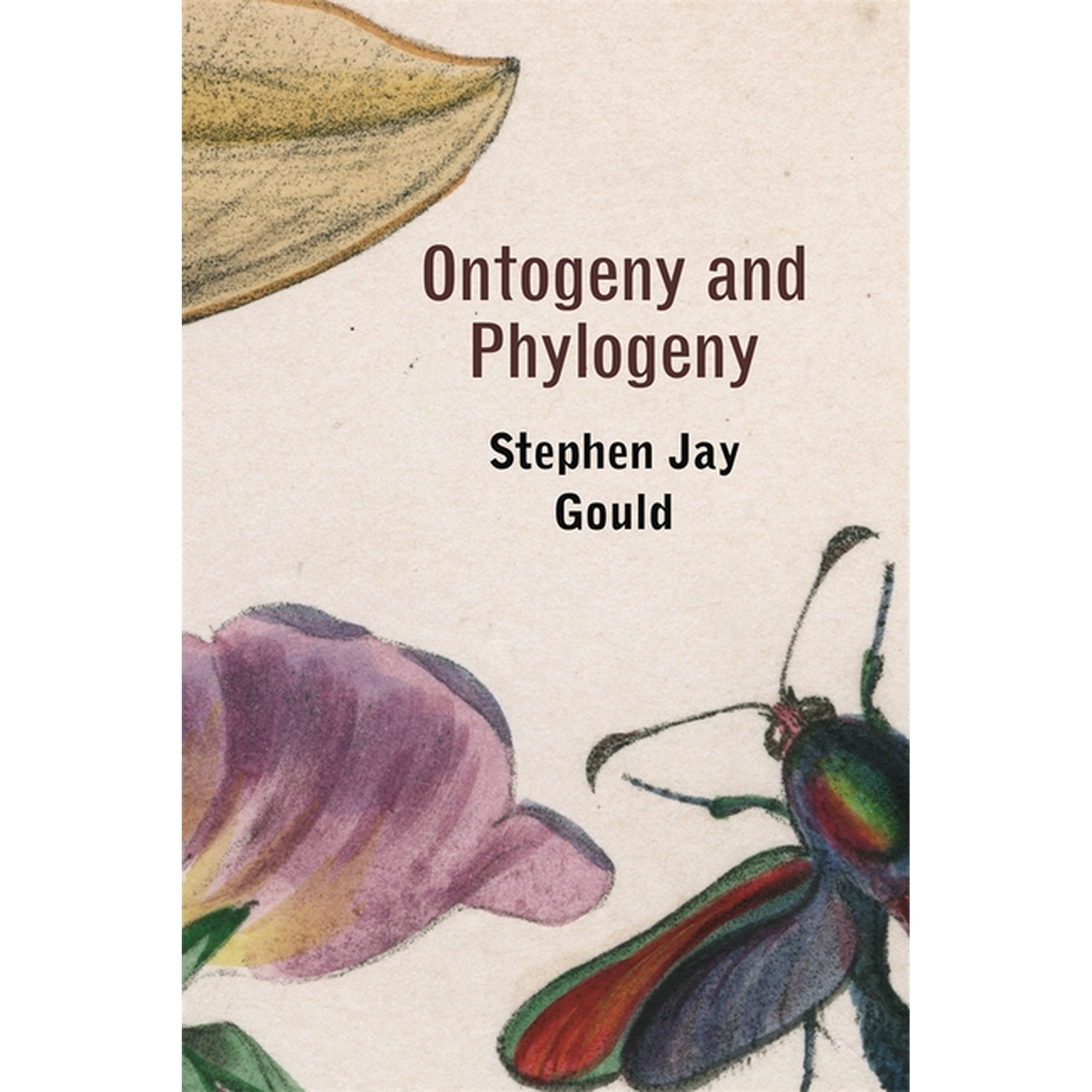 Ontogeny and Phylogeny (Paperback)