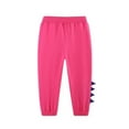 thumbnail image 3 of Kiijoy Toddler Girls Sports Sweatpants Dinosaur Embroidery Patch Jogger Pants, Sizes 2-3, 3 of 6