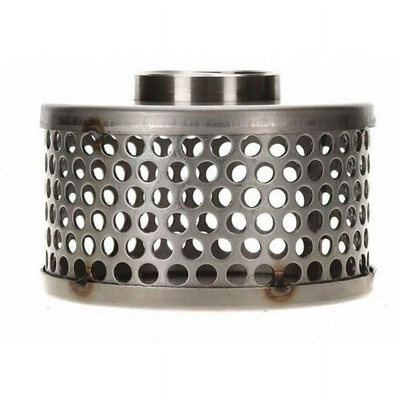 Suct Strainer,6 Dia,2 NPSM,Side Rnd Perf 5RWN9