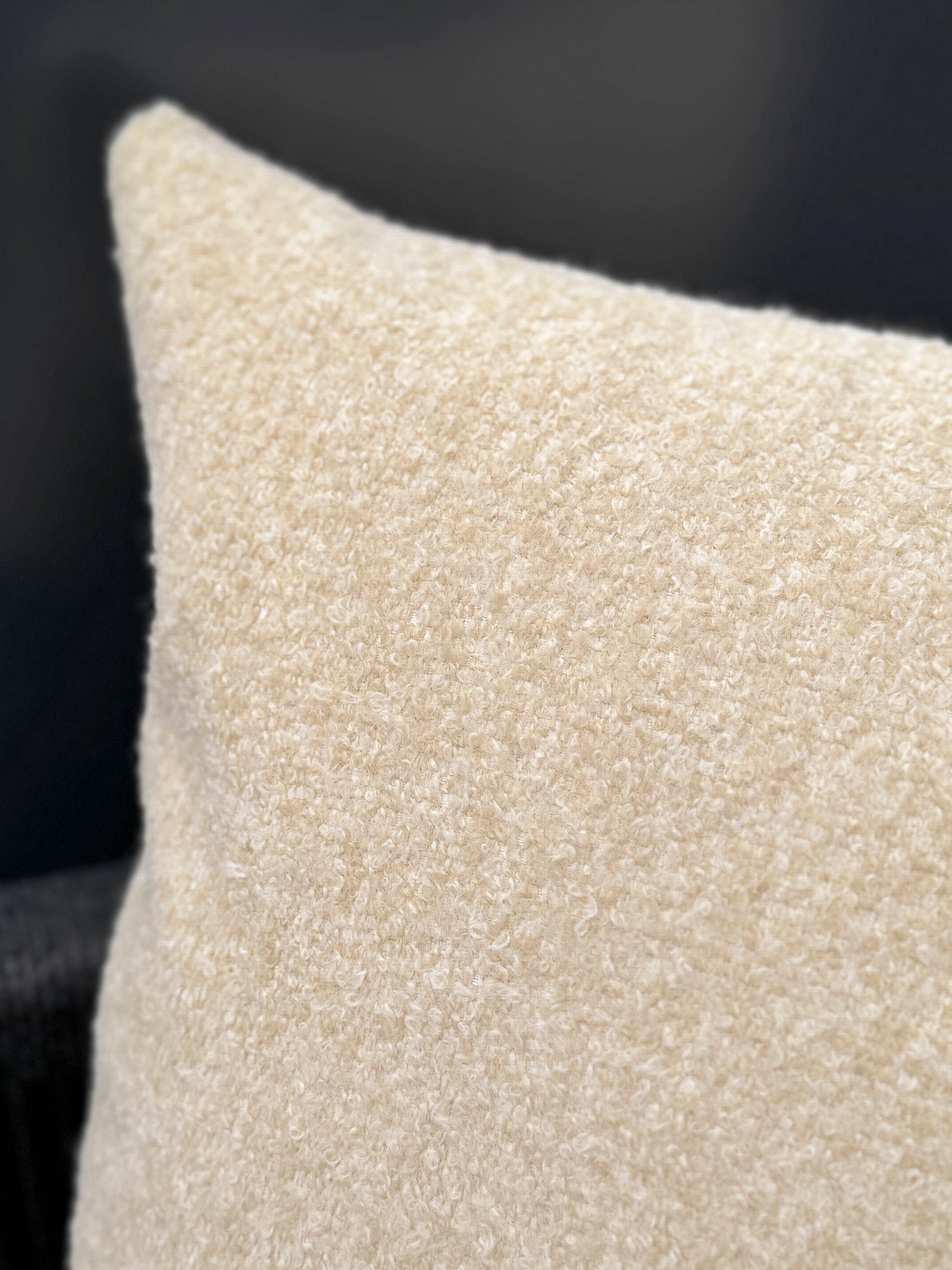 Beige Boucle 24x24 Indoor Outdoor Pillow Default Title