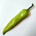 thumbnail image 3 of Hungarian Hot Wax Pepper Seeds/ Annual/ Full Sun/30 Seeds 1/4 Gram/ Zellajake Farm and Garden - B141, 3 of 4