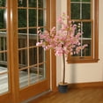thumbnail image 2 of 4 Ft. Cherry Blossom Tree, 2 of 4