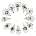 thumbnail image 3 of Ornamento casero del arte de la talla de la hoja de la flor de secas reales naturales Baoblaze  Arte de la talla de la hoja, 3 of 8