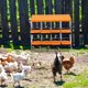 thumbnail image 3 of 8 - hole metal chicken nesting boxes con legs, 2 mounting options para egg laying, roll - away egg feature, grande holes para ventilation, y easy to clean, 3 of 5