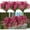 Magenta, variant on 24 Bundles Artificial Flowers for Outdoors UV Resistant Faux Silk Flowers No Fade Plastic Greenery Plants for Hanging Planter Garden Porch Window Box Patio Home Decoration (Pink)