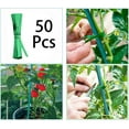 thumbnail image 5 of Casewin Green Bamboo Plant Stakes Garden Stakes 15 inch 50 PCS,Wood Stakes for Vegetables/Floral,Bamboo Plant Support for Indoor &Outdoor Plants with 50 Garden Ties, Sign Posting Garden Sticks, 5 of 7