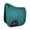 Alpine Green, variant on Hy Sport Active Horse Dressage Saddlepad