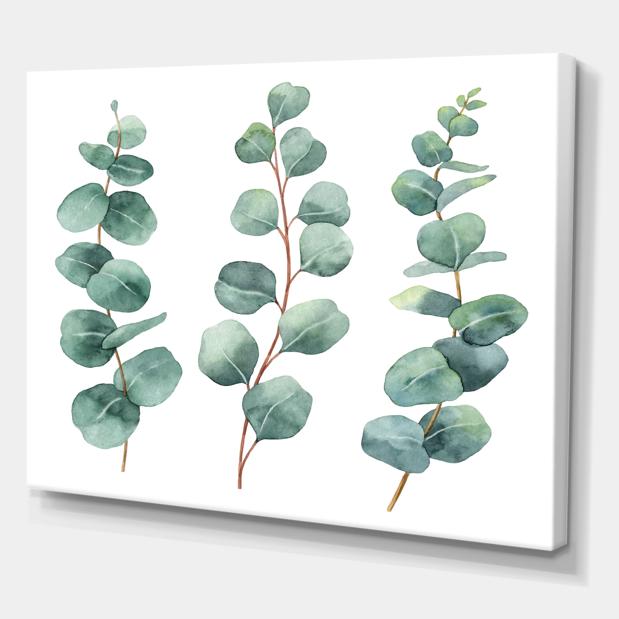 Designart ' Young Eucalyptus Branches and Leaves I ' Traditional Canvas Wall Art Print