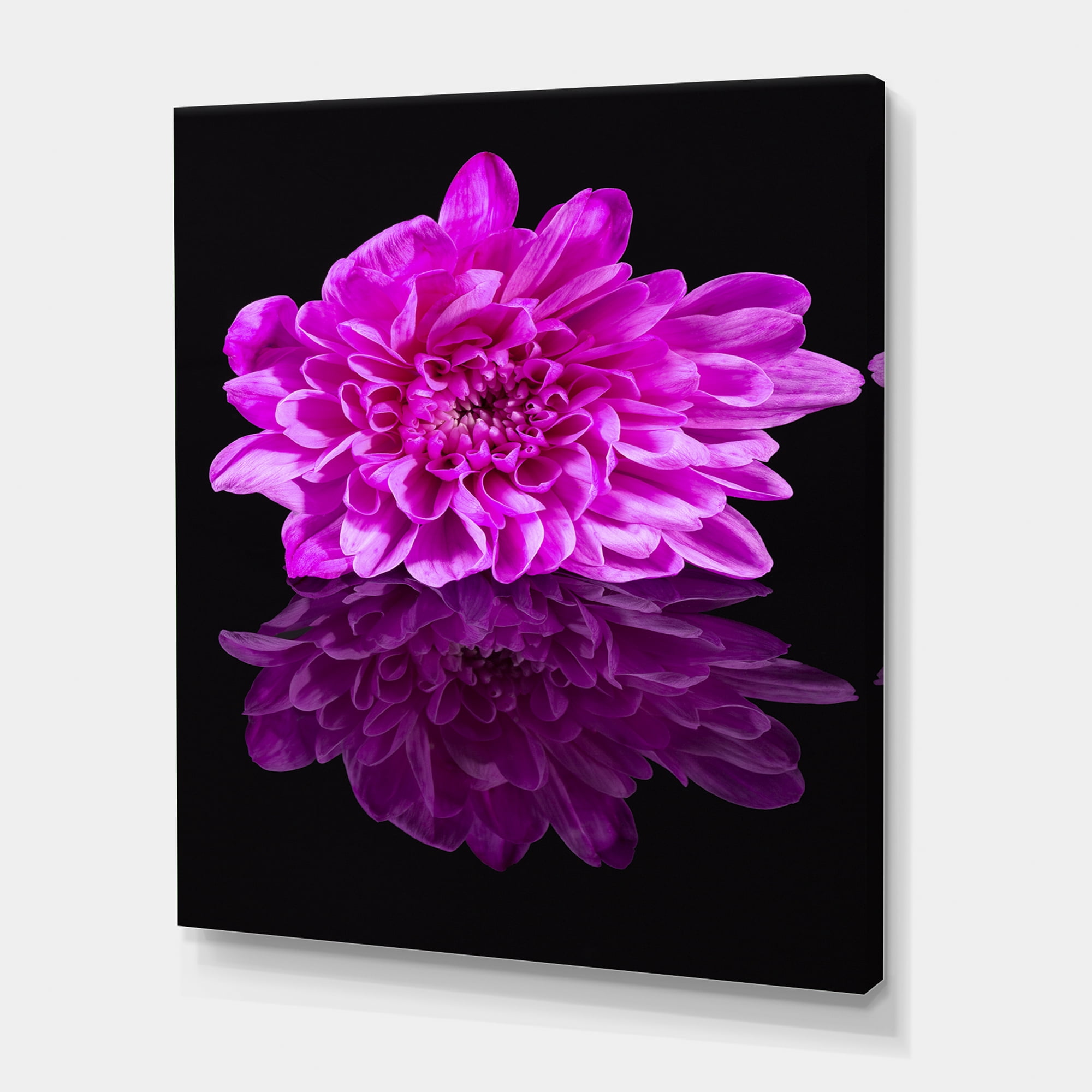 Designart ' Single Purple Chrysanthemum Flower On Black Reflection ' Traditional Canvas Wall Art Print