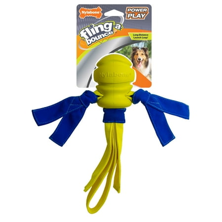 UPC: 0018214848721 | Nylabone Power Play Dog Fetch Toys Fling-a-Bounce Medium – 10 in.